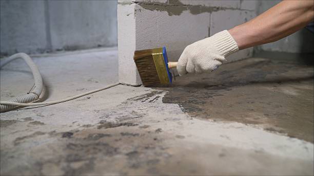 SJ Waterproofing Pros Waterproofing coverage map for Crawford, TN and surrounding area